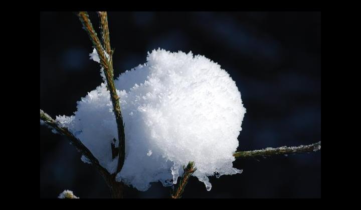 Inverno