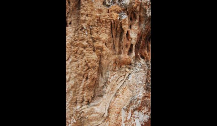 Tra le rocce