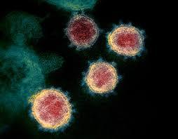 Coronavirus: DPCM 22 marzo 2020