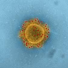Coronavirus: DPCM 10 aprile 2020