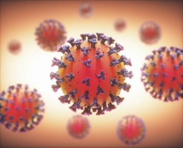 Coronavirus: DPCM 24 Ottobre 2020