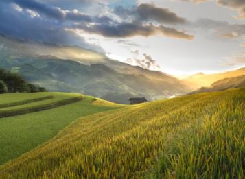 Bando Cariplo “Coltivare Valore”: 2 milioni per finanziare pratiche di agricoltura sostenibile